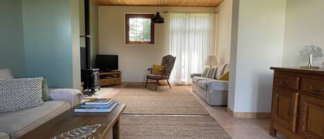 تلفزيون، مدفأة، كُتُب