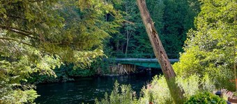 Firefly Lodge! Boardman River! Hot Tub! Woodstove!