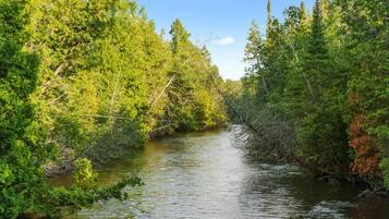 A river surrounded by dense greenery and trees.