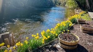 Een rivier met een houten looppad en bloembedden vol gele bloemen.