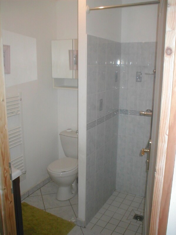 A bathroom with a toilet, a shower enclosure, and a towel rack.