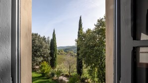 Une vue sur un jardin, avec des arbres et un sentier, à travers une fenêtre.