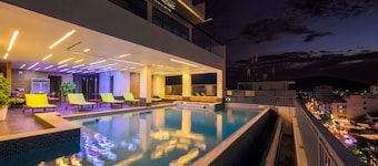 Daisy Flower Nha Trang