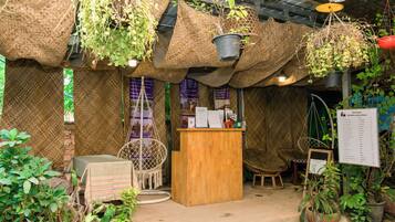 A rustic indoor garden with hanging planters, a wooden reception desk, and wicker furniture.