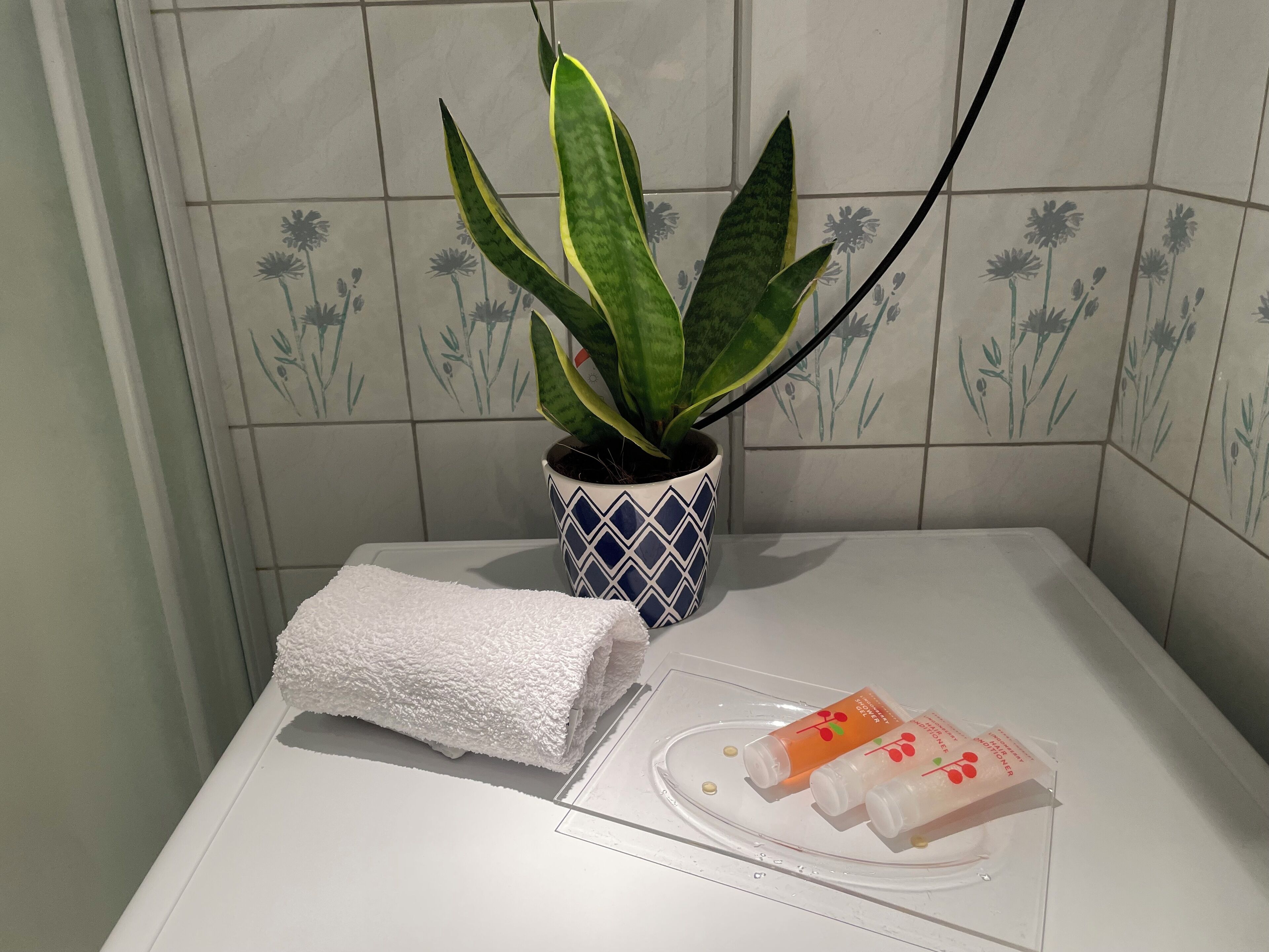 A bathroom with a white towel, a potted plant, and toiletries on a tray.