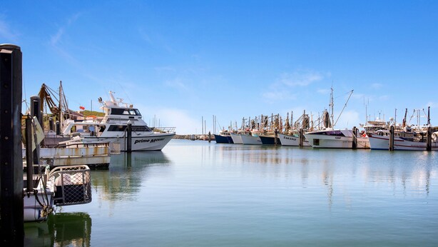 A marina with several boats docked, calm water, and a clear blue sky.