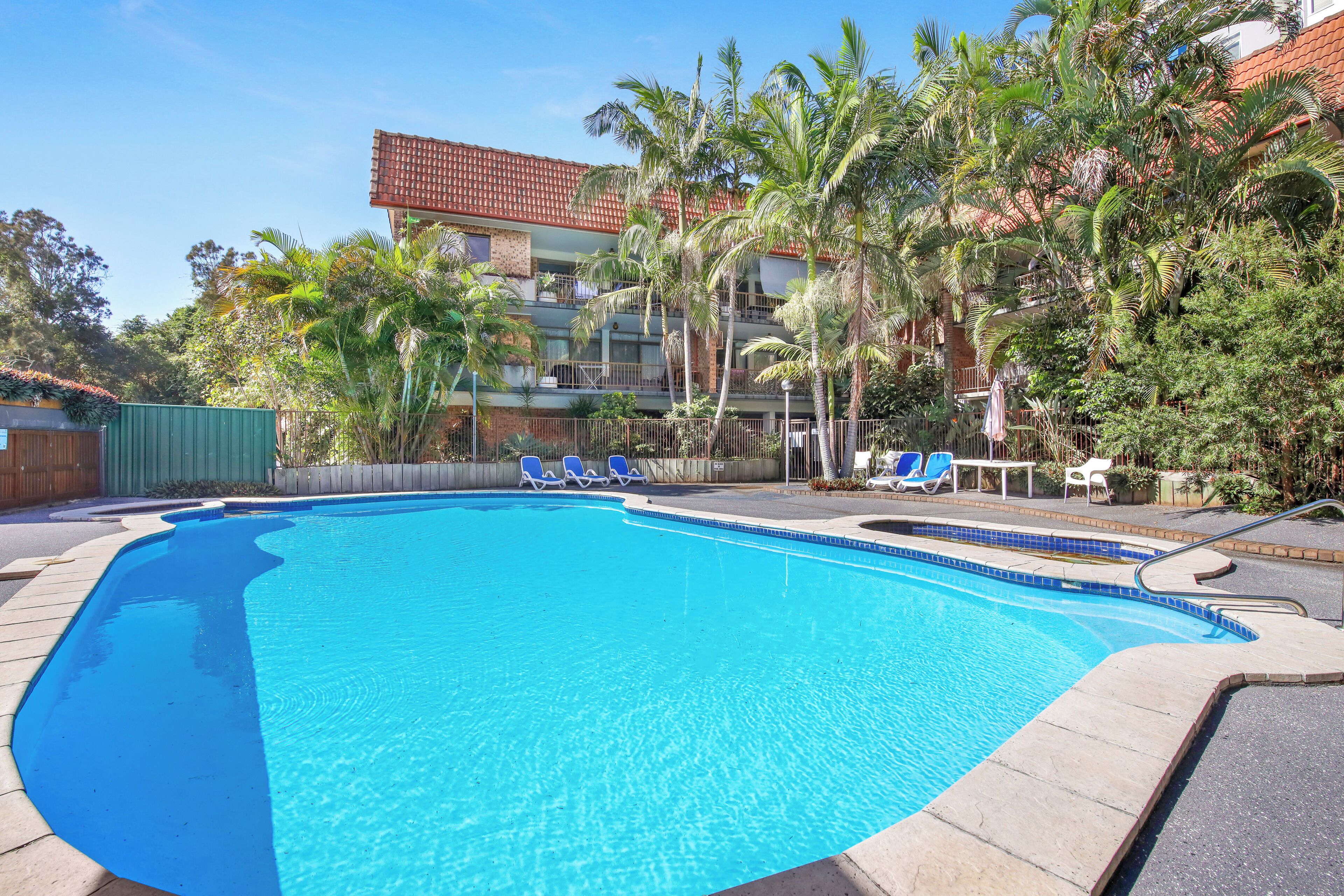 A swimming pool with blue tiles, surrounded by palm trees and lounge chairs.