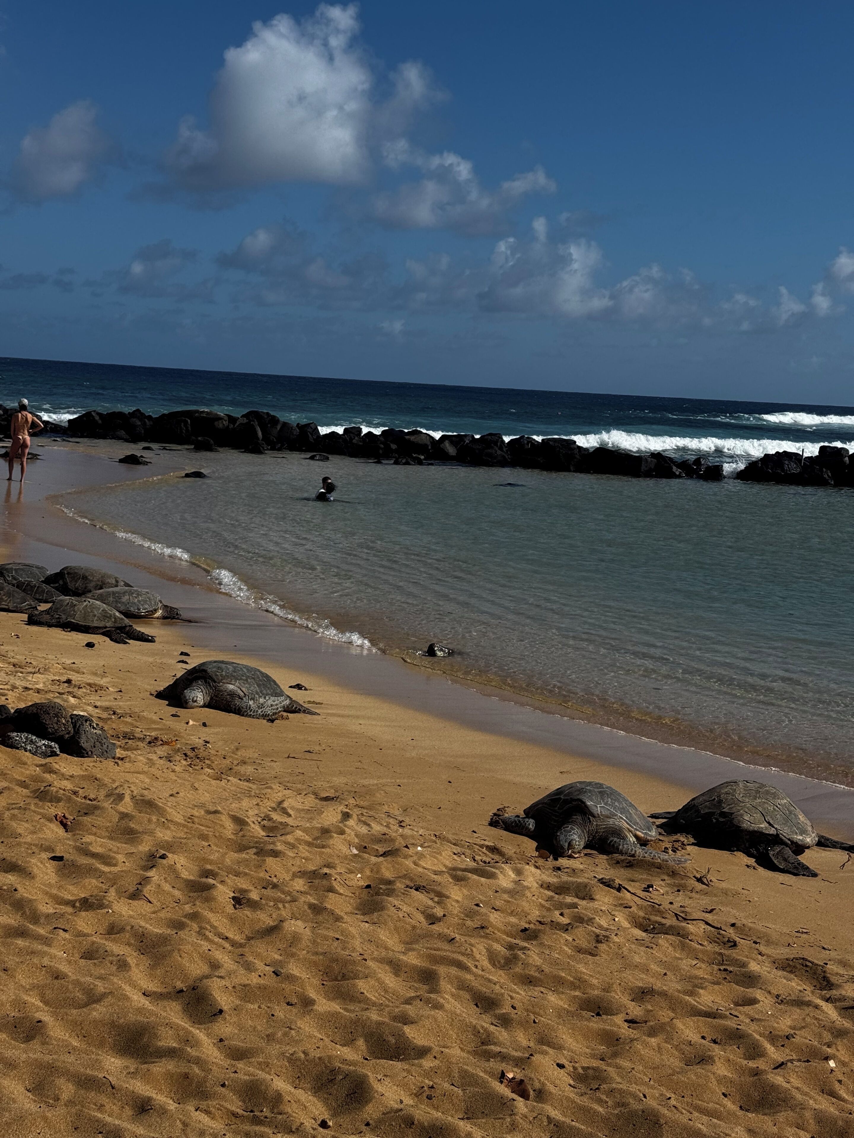 A beach with sand, rocks, and the ocean.