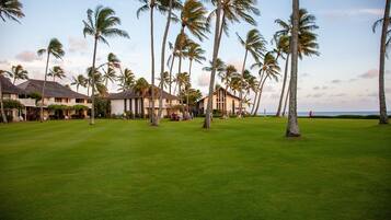 Golfe