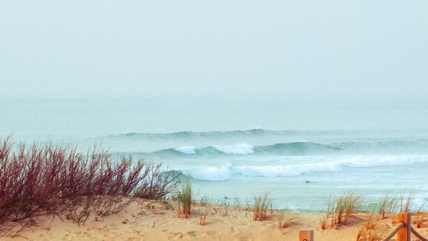Une plage avec des vagues, du sable et une végétation clairsemée.