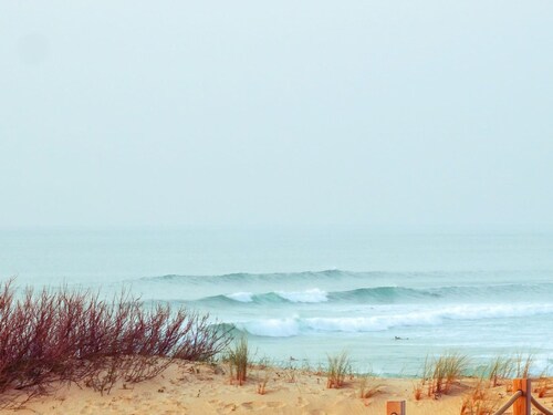 "Spacious Beachside Apartment with Parking Near Shops and Surf"