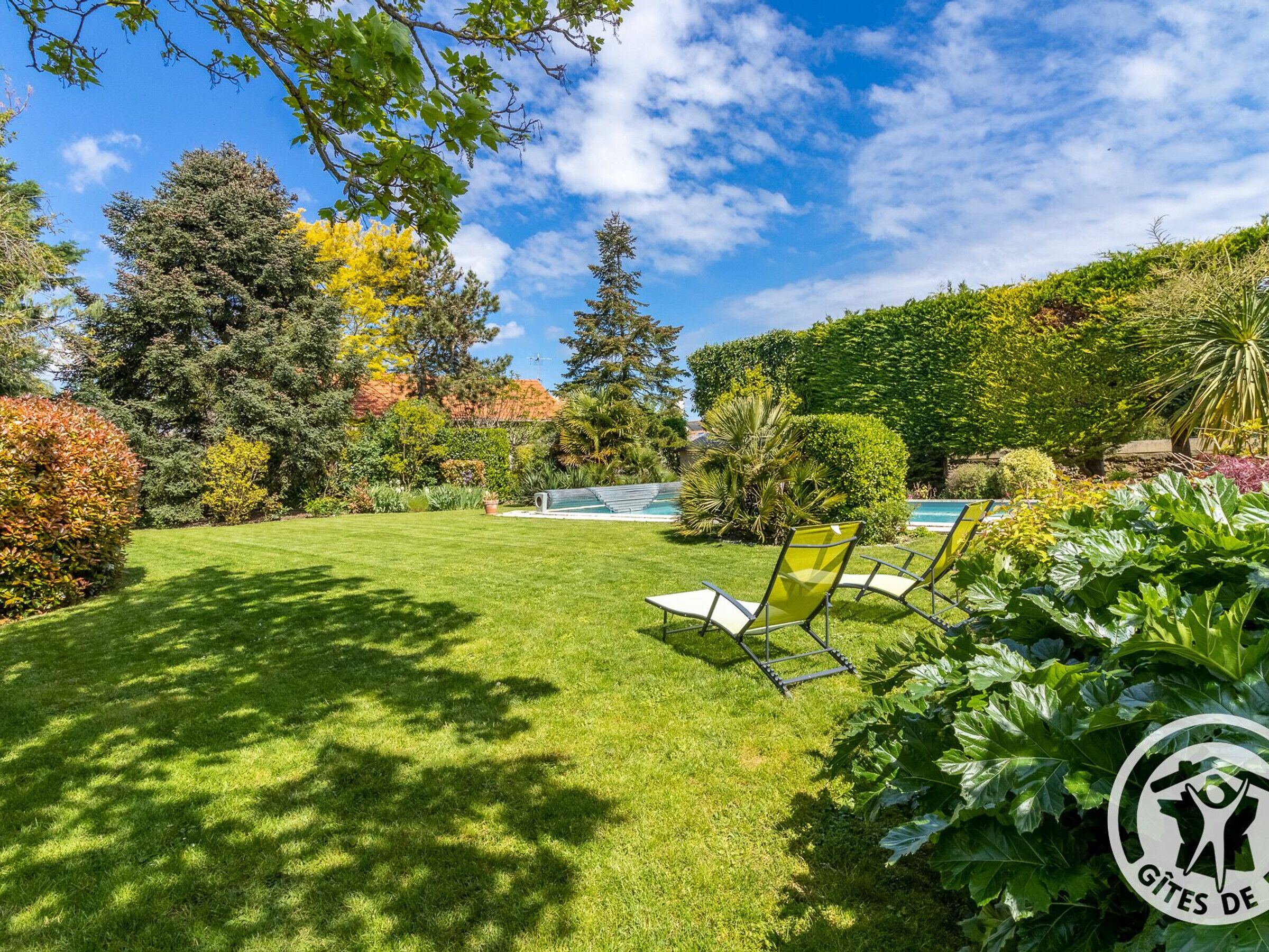 A well-maintained garden with a swimming pool, green lawn, and two lounge chairs.