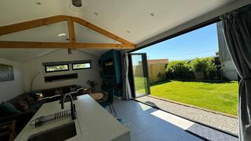 Televisión y chimenea