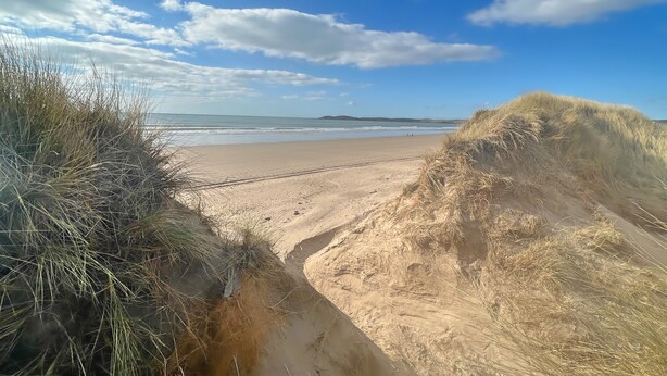 A beach with sand dunes and a clear sky. - Charming 3 Bed Townhouse Near Llanddwyn Beach (Llanfairpwllgwyngyll)
