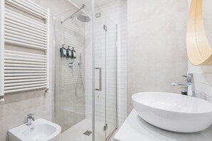Shower, hair dryer, bidet, towels