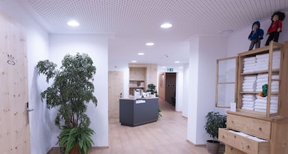 Chasa Helvetia Trai: Newly built 3.5 room holiday flat with exclusive hotel service