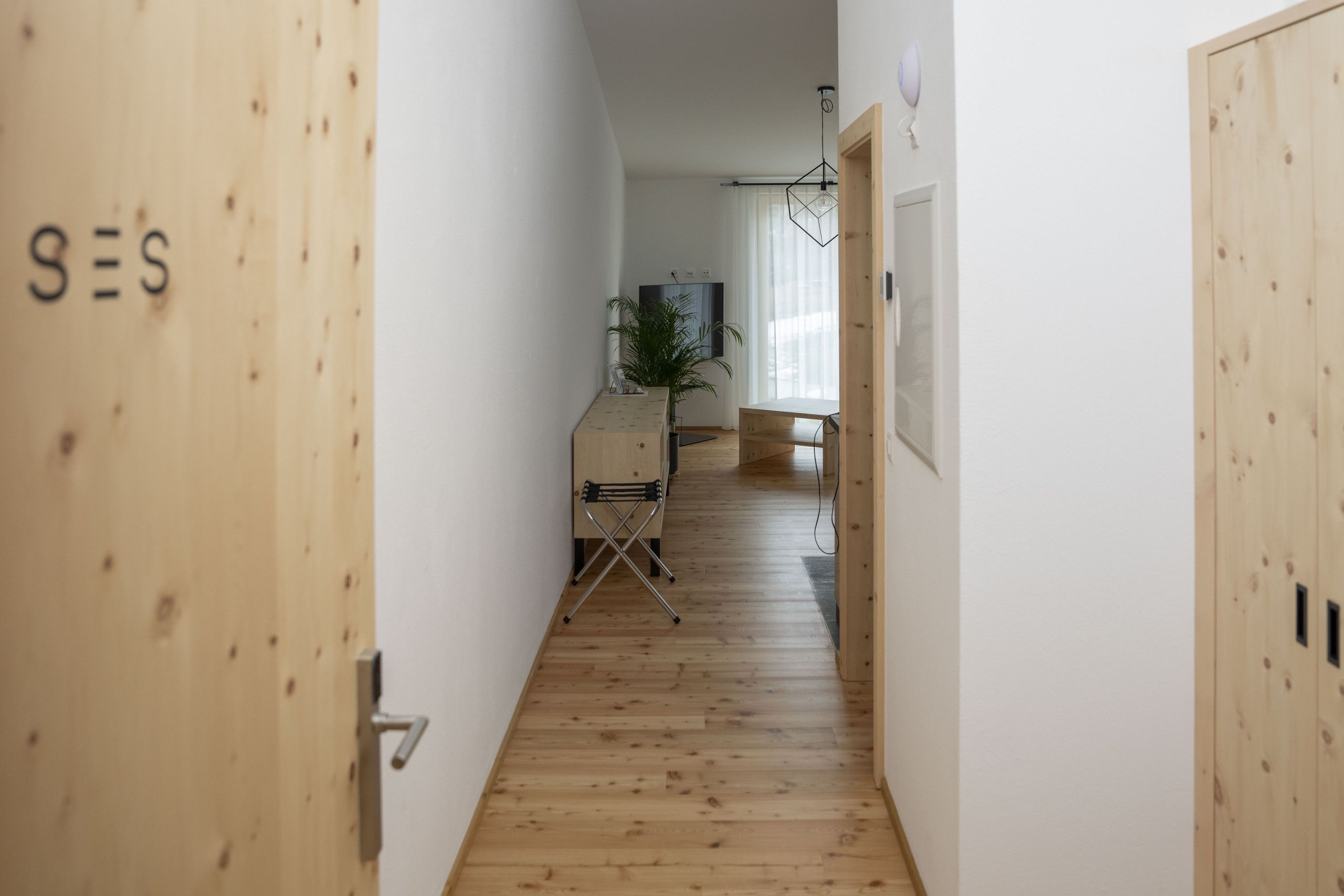 Pasillo con piso de madera, con un escritorio, una silla, una planta y un televisor al fondo.