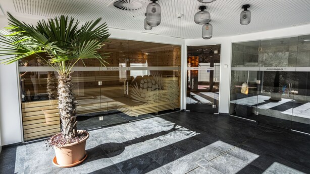 A modern lobby with a large potted plant, glass doors, and a tiled floor. - Chasa Helvetia Studio: Relax and enjoy in the new studio with exclusive hotel service (Müstair)