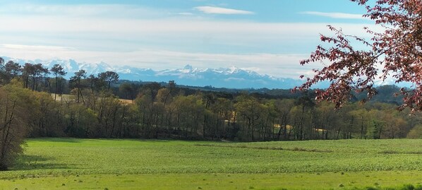 A green field with trees and mountains in the background. - Ferme Rénovée Tout Confort à la Campagne (Larbey)