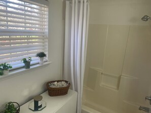 Hair dryer, towels, soap, toilet paper