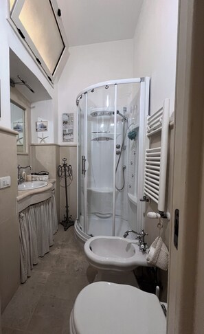 Shower, hair dryer, bidet, towels