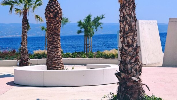 Una passeggiata costiera con palme e vista sul mare.