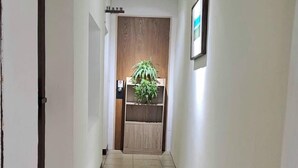 Un couloir avec une porte en bois au fond, une plante posée sur une étagère et un luminaire au plafond.