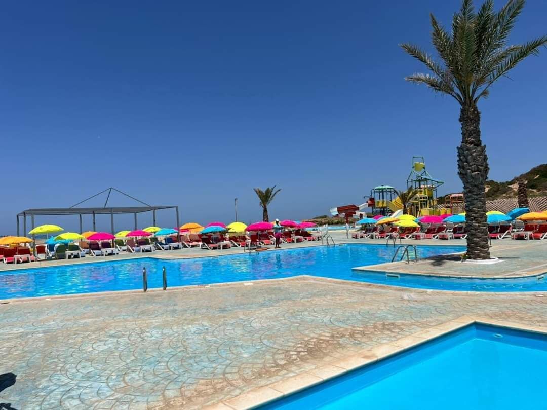 A swimming pool with multiple colorful umbrellas, lounge chairs, and a palm tree.