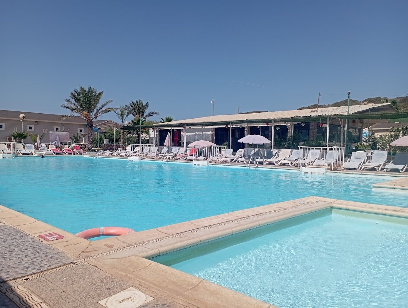 A swimming pool with lounge chairs and umbrellas, surrounded by buildings and palm trees.