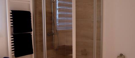 Un baño moderno con ducha envuelta en vidrio, inodoro blanco y lavamanos blanco.