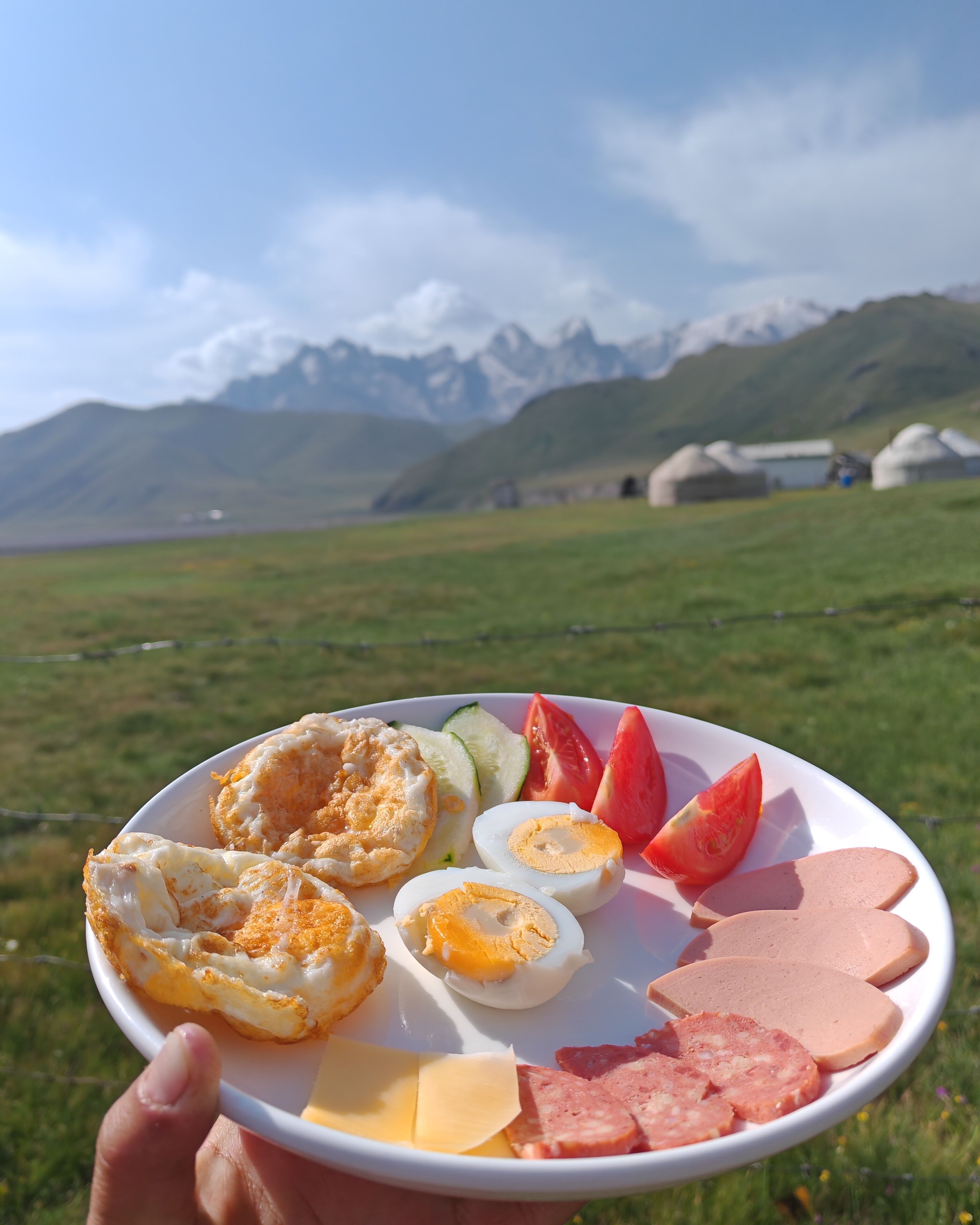 Plat de menjar amb ous, formatge i carn, sostingut per una mà davant un paisatge de muntanyes i un prat.