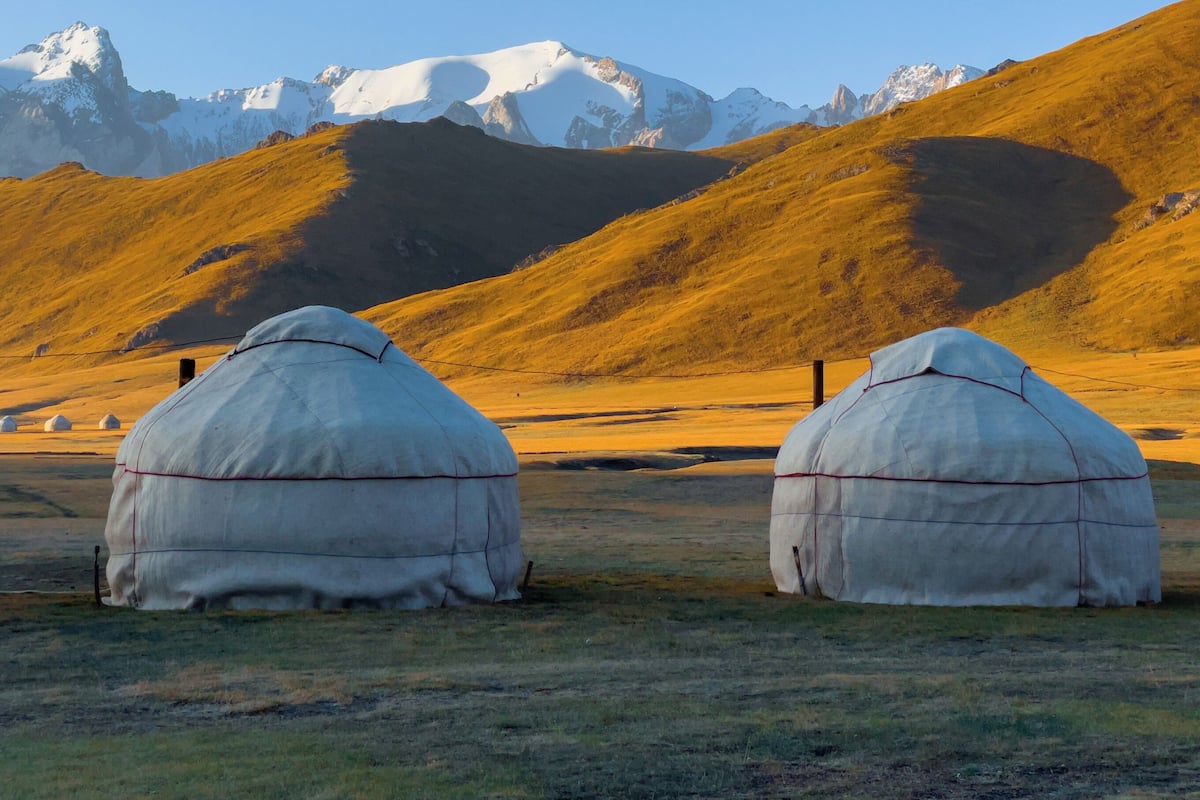 Two yurts in a grassy field with a mountainous backdrop.