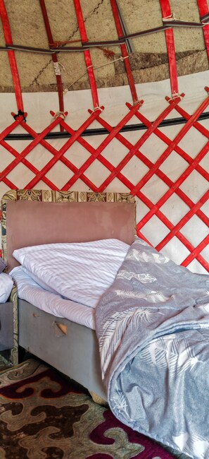 Traditional Shared Dormitory, Mountain View | Desk