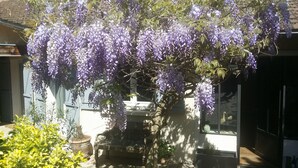 Ein Garten mit einem großen Baum, der violette Blüten trägt, einer Steinsitzbank und Kübelpflanzen.