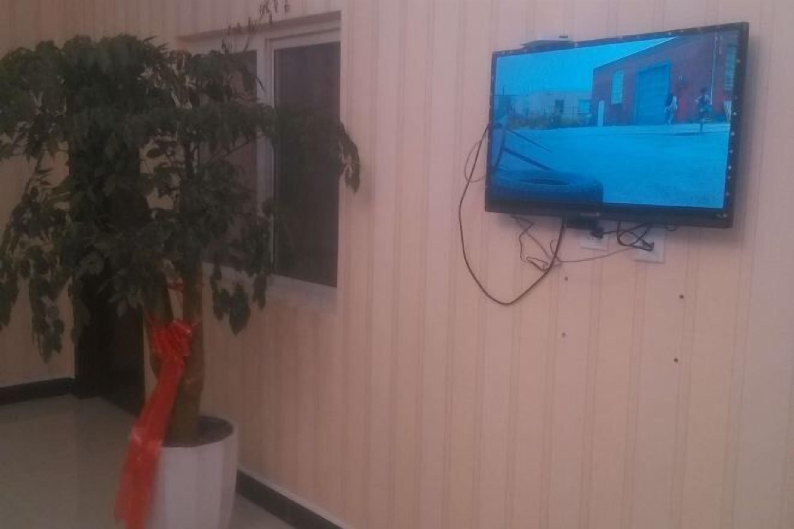 A television mounted on a wall with a potted plant beside it.
