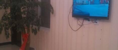 A television mounted on a wall with a potted plant beside it.