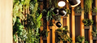 ฮิปโนสรีสอร์ทบายเดอะซี