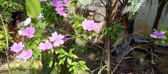 Pousada Chez Soleil Cibratel Itanhaém