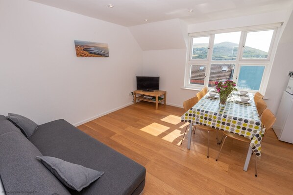 TV, DVD player - Barton Road Apartment (Woolacombe)
