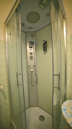 Chuveiro, secador de cabelo, toalhas de banho, papel higiênico