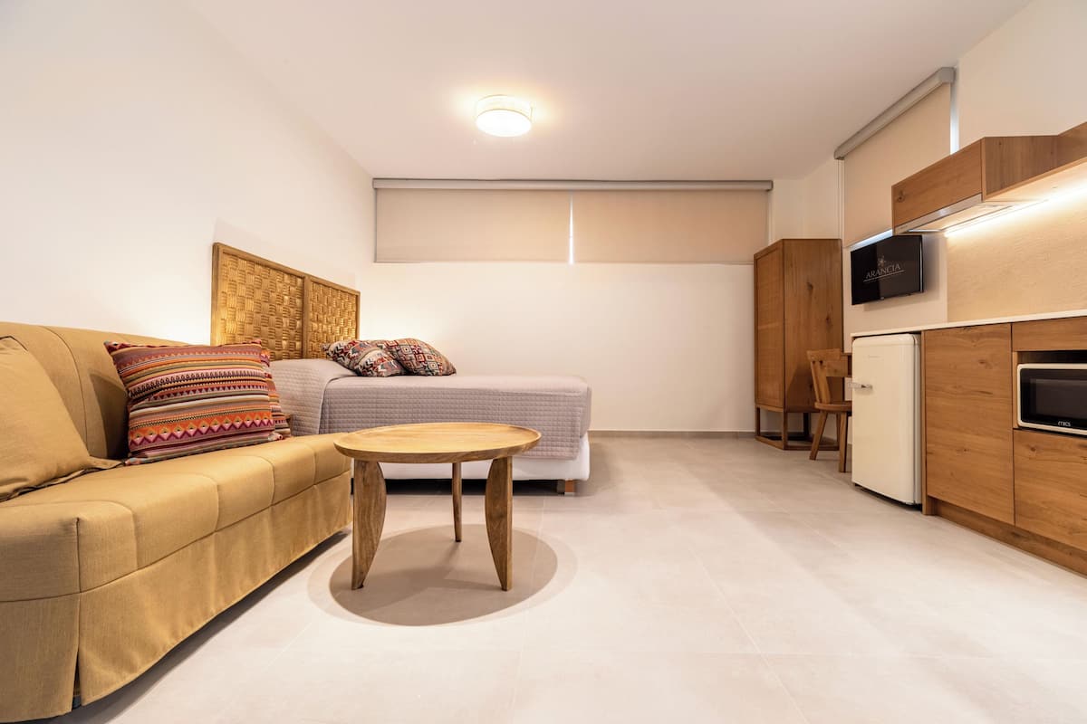 Un espace de vie compact comprenant un canapé, une petite table ronde, un lit, un coin cuisine et un téléviseur fixé au mur.