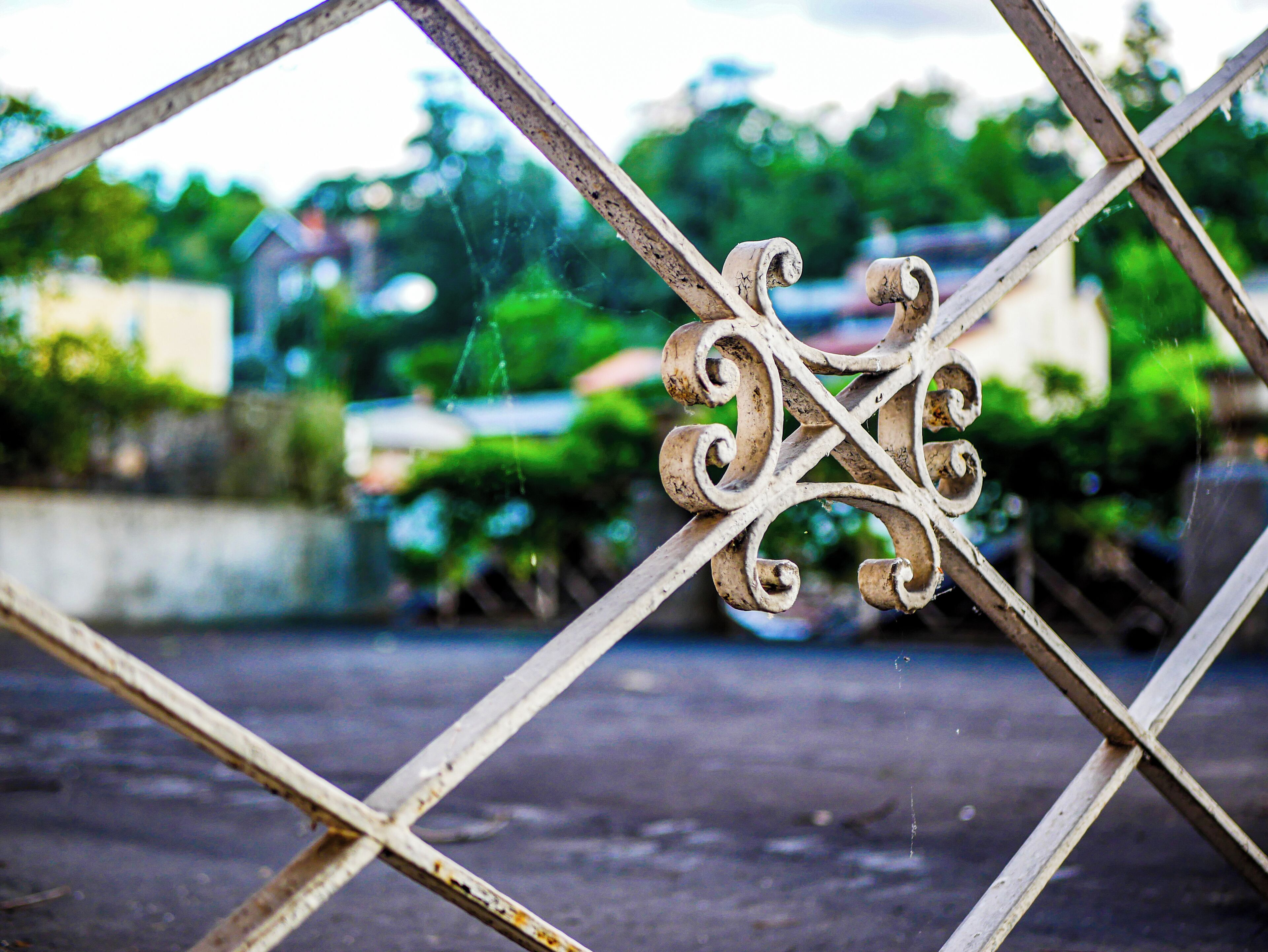Una reja de metal con diseños ornamentales, una tela de araña y un fondo desenfocado de vegetación y edificios.