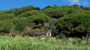 Une maison entourée d’une forêt dense et verdoyante, avec une porte bien visible et une petite zone clôturée au premier plan.