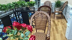 Une pièce meublée de meubles en osier, dotée d’un plancher en bois et agrémentée de plantes en pot.