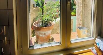 Le Grand Mole vue jardin