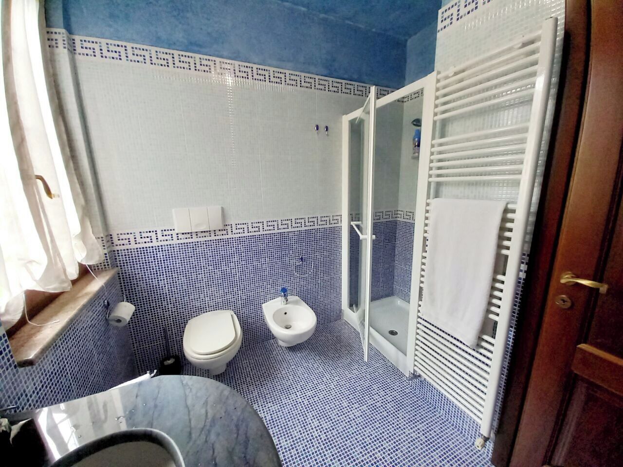 Shower, hair dryer, bidet, towels