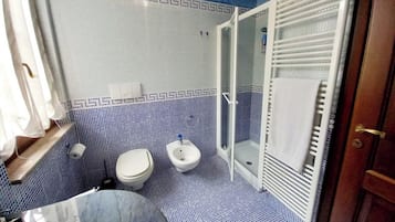 Shower, hair dryer, bidet, towels