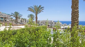 A coastal resort with palm trees, a clear blue sky, and a view of the sea.