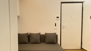 Un salon moderne avec un canapé gris, un plancher en bois et une porte blanche.
