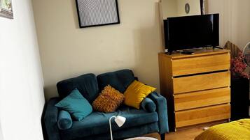 TV, fireplace, books